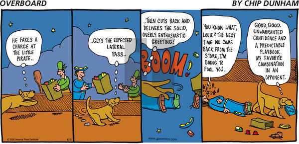 Overboard on Sunday August 3, 2008 Comic Strip