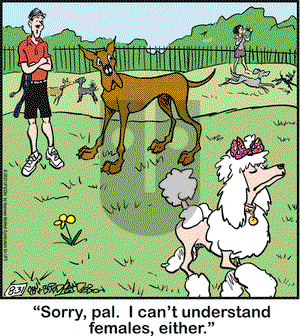 Marmaduke on Monday August 31, 2020 Comic Strip