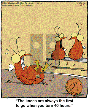 In the Bleachers - Tuesday November 28, 2023 Comic Strip