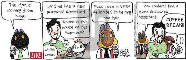 Breaking Cat News on Monday April 20, 2020 Comic Strip