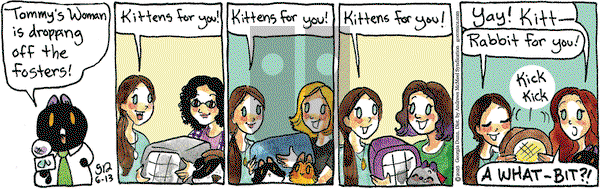 Breaking Cat News on Friday June 13, 2025 Comic Strip