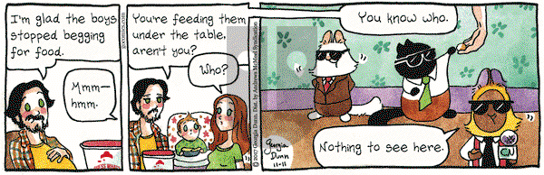 Breaking Cat News on Saturday November 11, 2017 Comic Strip