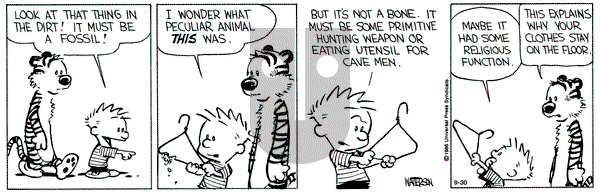 Calvin and Hobbes on Monday September 30, 1991 Comic Strip