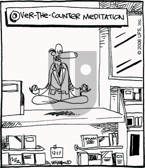 Reality Check on Saturday December 13, 2008 Comic Strip