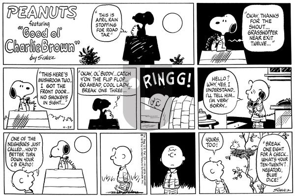 Peanuts on Sunday April 25, 1976 Comic Strip