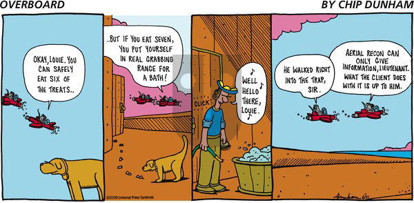 Overboard on Sunday June 21, 2009 Comic Strip