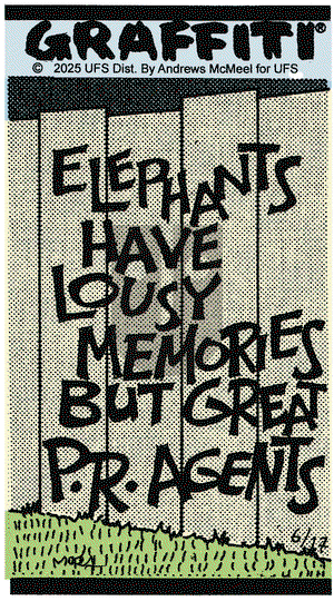 Graffiti on Tuesday June 17, 2025 Comic Strip