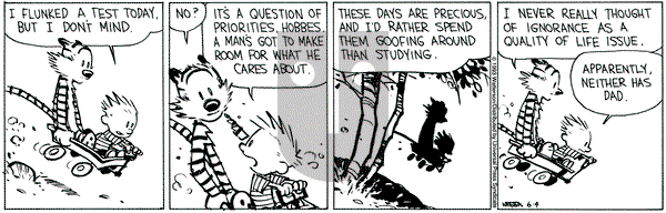 Calvin and Hobbes on Friday June 4, 1993 Comic Strip