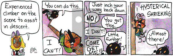 Breaking Cat News on Friday June 6, 2025 Comic Strip