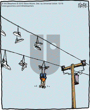 In the Bleachers on Friday December 18, 2015 Comic Strip