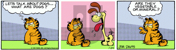 Garfield on Thursday January 24, 1980 Comic Strip