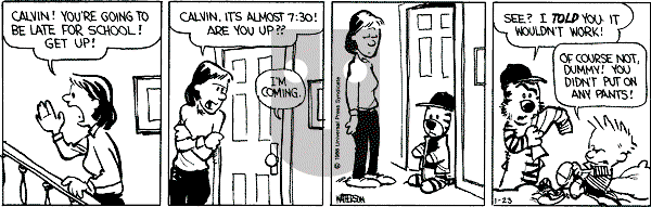 Calvin and Hobbes - Thursday January 23, 1986 Comic Strip