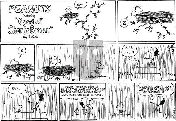 Peanuts - Sunday June 3, 1973 Comic Strip