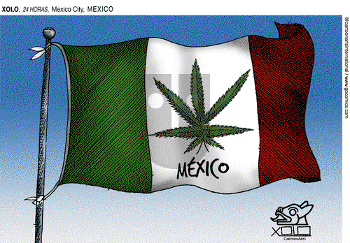 ViewsLatinAmerica on Thursday March 11, 2021 Comic Strip