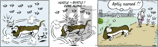 Fred Basset on Wednesday July 5, 2017 Comic Strip