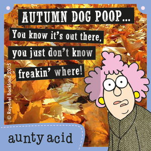 Aunty Acid on Saturday November 7, 2015 Comic Strip