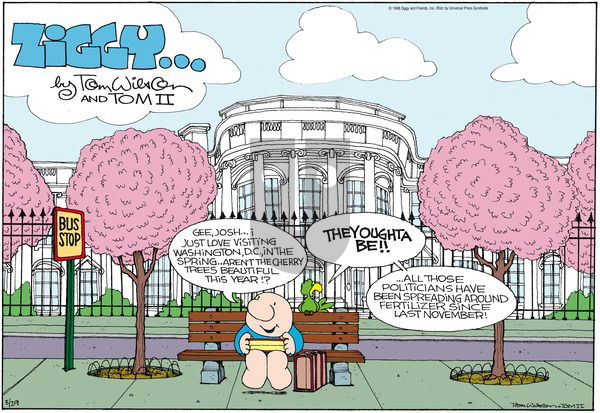 Ziggy on Friday October 9, 1998 Comic Strip