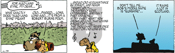 Over the Hedge on Tuesday December 31, 2013 Comic Strip