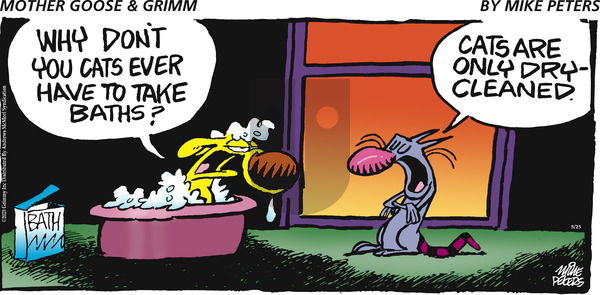 Mother Goose and Grimm on Sunday May 25, 2025 Comic Strip