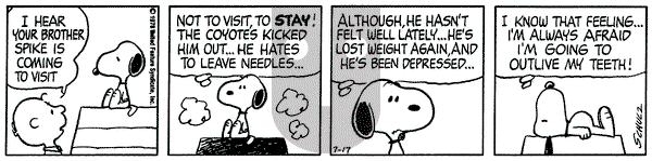 Peanuts on Monday July 17, 1978 Comic Strip