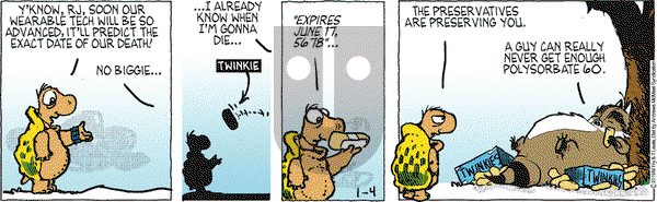 Over the Hedge on Friday January 4, 2019 Comic Strip