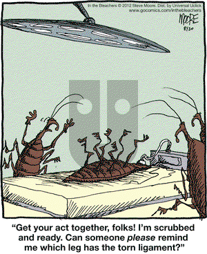 In the Bleachers on Monday August 20, 2012 Comic Strip