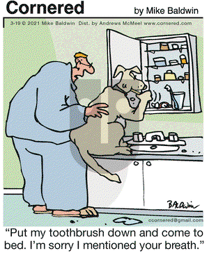 Cornered on Friday March 19, 2021 Comic Strip