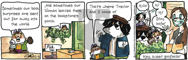 Breaking Cat News on Thursday June 18, 2020 Comic Strip