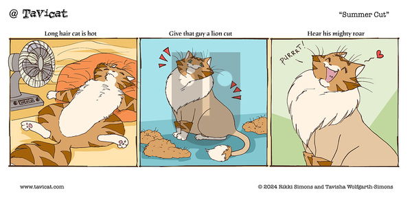 @Tavicat on Monday July 8, 2024 Comic Strip