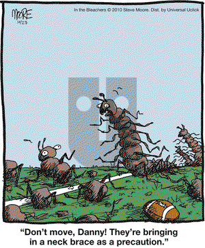 In the Bleachers on Wednesday October 27, 2010 Comic Strip