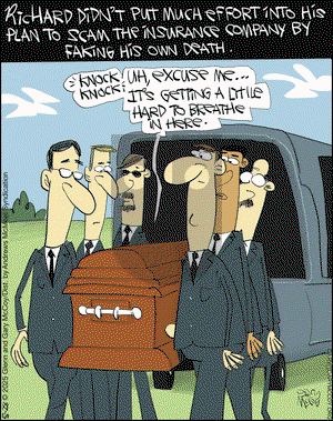 The Flying McCoys on Wednesday May 28, 2025 Comic Strip