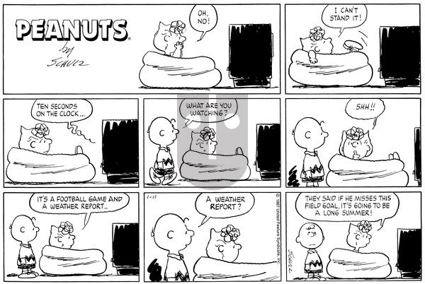 Peanuts on Sunday January 11, 1987 Comic Strip