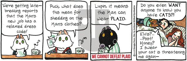 Breaking Cat News on Wednesday July 18, 2018 Comic Strip