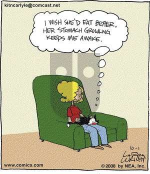 Kit 'N' Carlyle on Wednesday October 1, 2008 Comic Strip