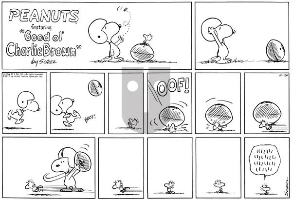 Peanuts on Sunday October 24, 1971 Comic Strip