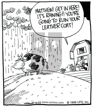 Reality Check on Saturday October 23, 1999 Comic Strip
