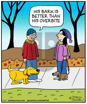 Half Full on Friday November 21, 2014 Comic Strip