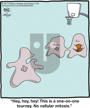 In the Bleachers on Saturday December 9, 2017 Comic Strip