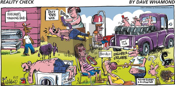 Reality Check on Sunday August 27, 2017 Comic Strip