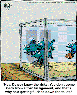In the Bleachers on Thursday May 19, 2011 Comic Strip