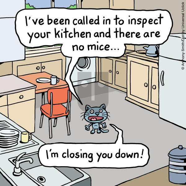 Cattitude — Doggonit on Sunday May 11, 2025 Comic Strip
