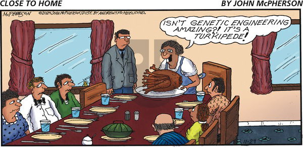 Close to Home on Sunday November 24, 2024 Comic Strip