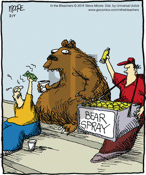 In the Bleachers on Saturday July 5, 2014 Comic Strip