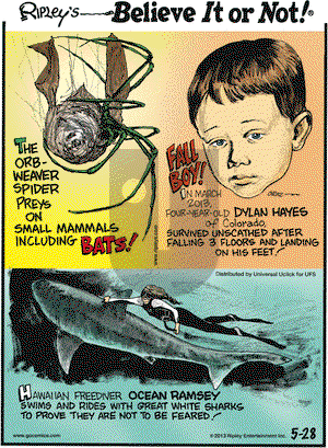 Ripley's Believe It or Not on Tuesday May 28, 2013 Comic Strip