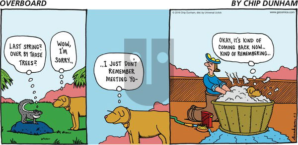 Overboard on Sunday April 3, 2016 Comic Strip