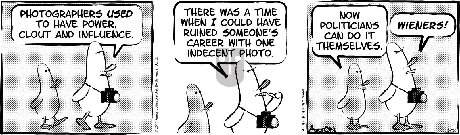 W.T. Duck - Sunday December 3, 2023 Comic Strip