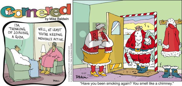 Cornered on Sunday December 27, 2020 Comic Strip