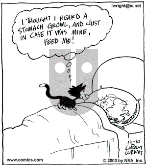Kit 'N' Carlyle on Wednesday December 10, 2003 Comic Strip