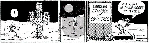 Peanuts on Saturday December 19, 1992 Comic Strip