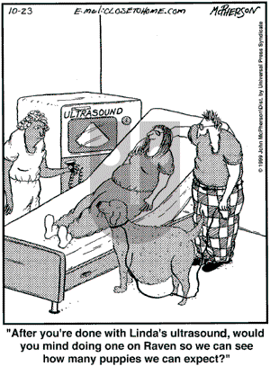 Close to Home on Thursday October 23, 2008 Comic Strip